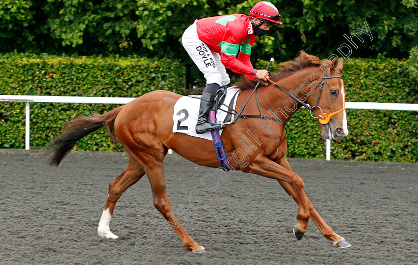 Bannerman-0001 
 BANNERMAN (Sean Levey)
Kempton 2 Jun 2021 - Pic Steven Cargill / Racingfotos.com