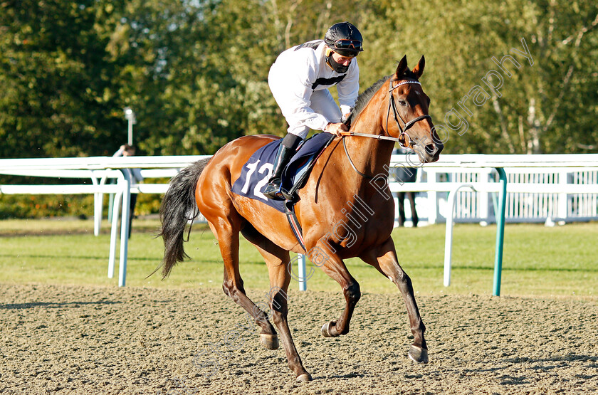 Love-Poems-0001 
 LOVE POEMS (John Egan)
Lingfield 4 Aug 2020 - Pic Steven Cargill / Racingfotos.com