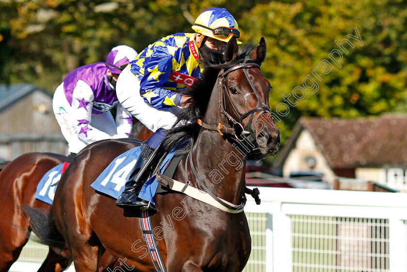 The-Bay-Warrior-0001 
 THE BAY WARRIOR (Ryan Tate)
Salisbury 1 Oct 2020 - Pic Steven Cargill / Racingfotos.com