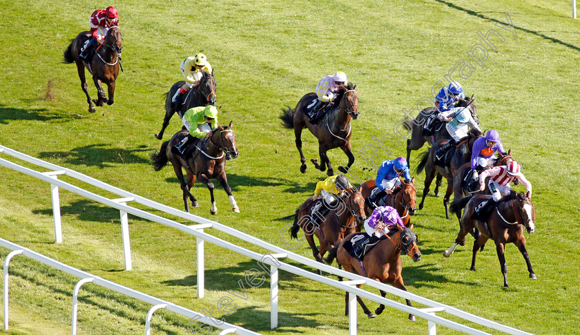 Separate-0001 
 SEPARATE (James Doyle) wins The Dubai Duty Free Nursery
Newbury 20 Spe 2019 - Pic Steven Cargill / Racingfotos.com