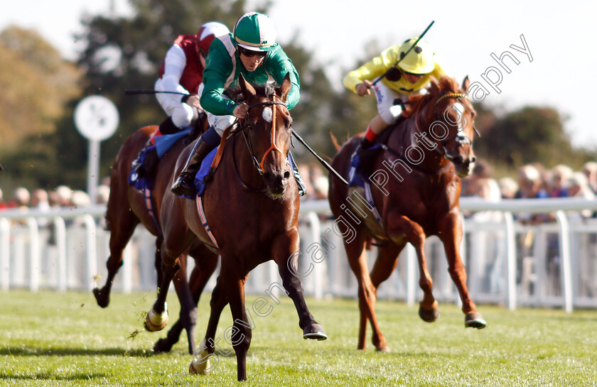 Kaloor-0004 
 KALOOR (Jim Crowley) wins The PKF Francis Clark EBF Novice Stakes Div1
Salisbury 3 Oct 2018 - Pic Steven Cargill / Racingfotos.com