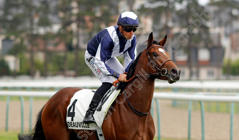 Spirit-d Or-0001 
 SPIRIT D'OR (T Piccone)
Deauville 3 Aug 2024 - Pic Steven Cargill / Racingfotos.com