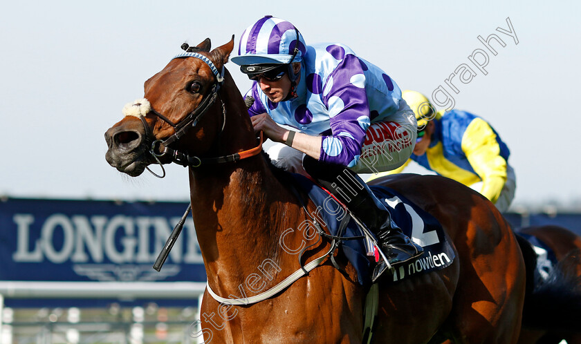 Spoof-0002 
 SPOOF (Jack Mitchell) wins The Svend Kold Memorial Handicap
Ascot 3 May 2023 - Pic Steven Cargill / Racingfotos.com