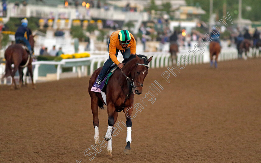 Just-F-Y-I-0001 
 JUST F Y I training for The Breeders' Cup Juvenile Fillies
Santa Anita 2 Nov 2023 - Pic Steven Cargill / Racingfotos.com