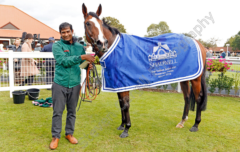 Agincourt-0006 
 AGINCOURT after The Tasleet British EBF Rosemary Stakes
Newmarket 27 Sep 2019 - Pic Steven Cargill / Racingfotos.com