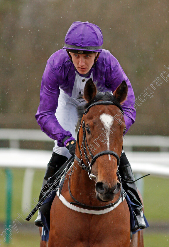 Hurcle-0001 
 HURCLE (Sean Davis)
Lingfield 4 Mar 2020 - Pic Steven Cargill / Racingfotos.com