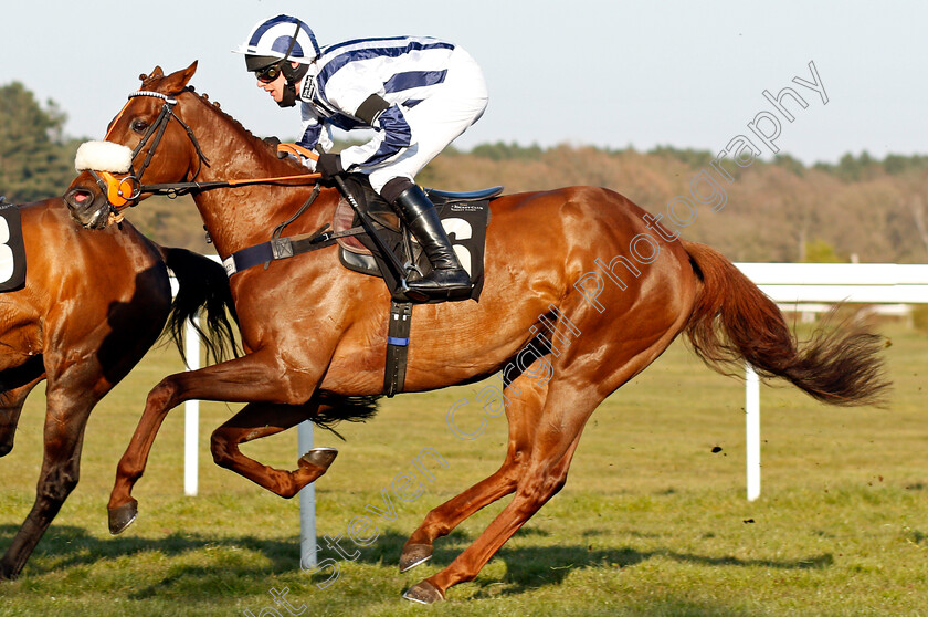 Shinobi-0001 
 SHINOBI (David Bass)
Market Rasen 19 Apr 2021 - Pic Steven Cargill / Racingfotos.com