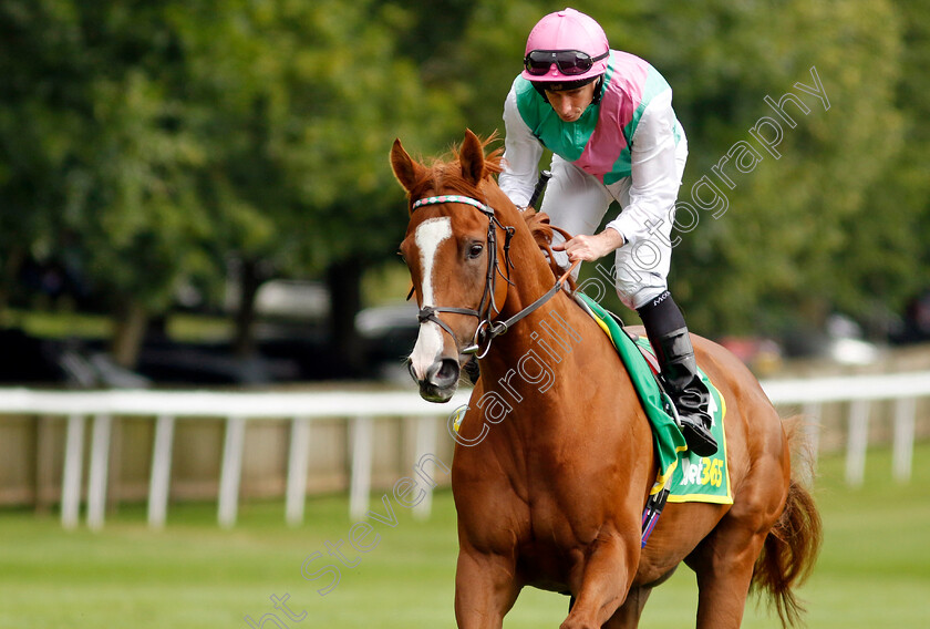 Qirat-0001 
 QIRAT (Ryan Moore)
Newmarket 13 Jul 2024 - Pic Steven Cargill / Racingfotos.com