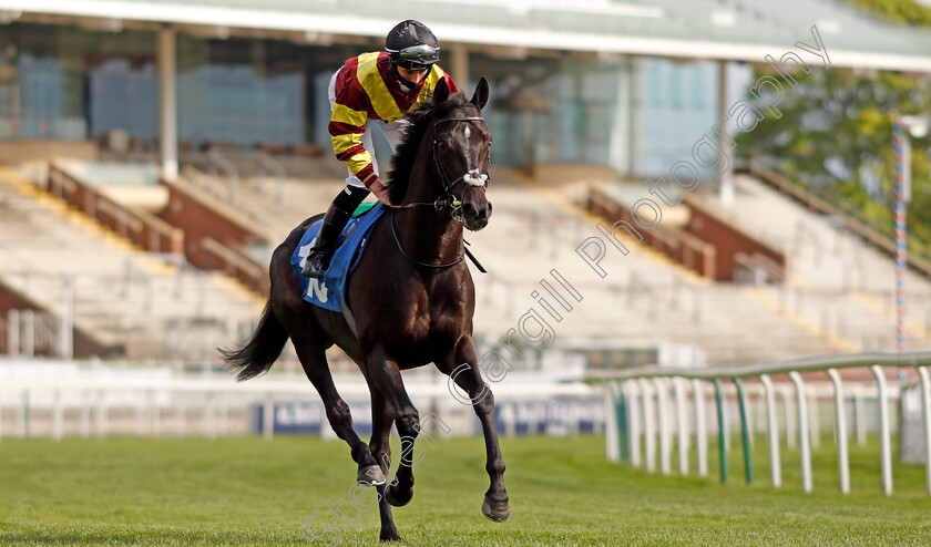 Flyin -Solo-0002 
 FLYIN' SOLO (Rossa Ryan) winner of The Conundrum HR Consulting Handicap
York 12 May 2021 - Pic Steven Cargill / Racingfotos.com