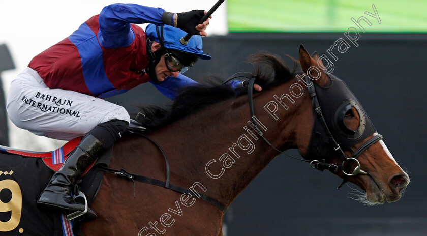 Tao-Te-Ching-0005 
 TAO TE CHING (Robert Havlin) wins The Mansionbet Best Odds Guaranteed Novice Stakes
Nottingham 28 Oct 2020 - Pic Steven Cargill / Racingfotos.com