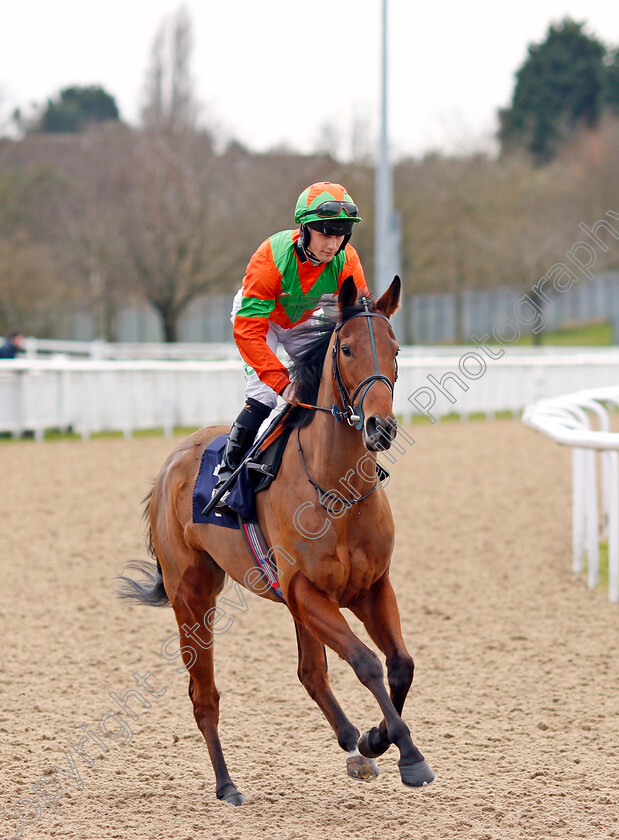 Maid-Of-Aragon-0001 
 MAID OF ARAGON (Jason Hart)
Wolverhampton 12 Mar 2022 - Pic Steven Cargill / Racingfotos.com