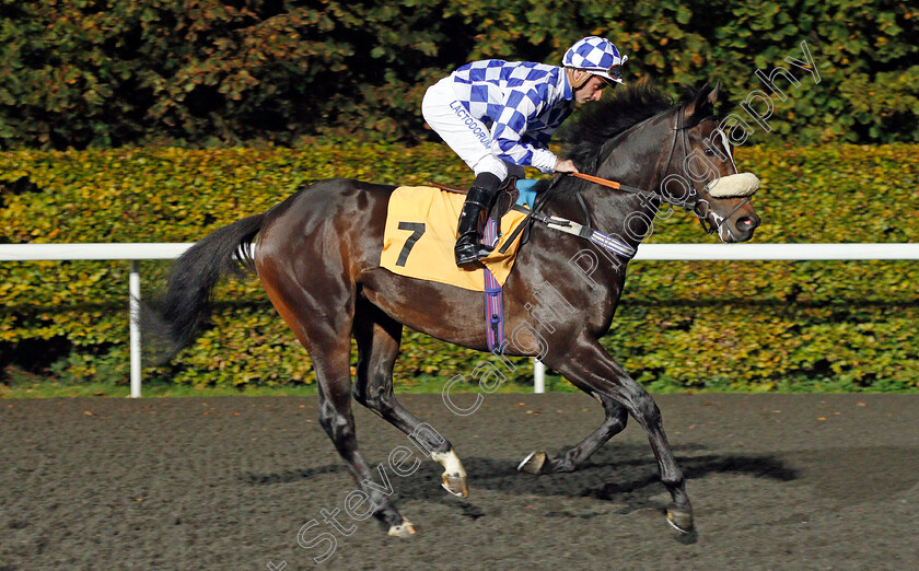 Ezz-0001 
 EZZ (Adam Beschizza) Kempton 18 Oct 2017 - Pic Steven Cargill / Racingfotos.com