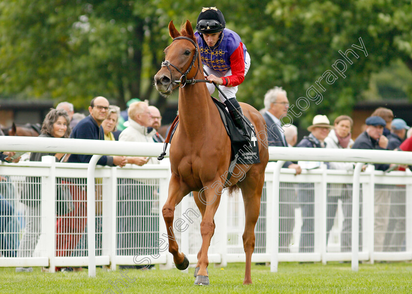 Intelligentsia-0001 
 INTELLIGENTSIA (Ryan Moore)
Salisbury 2 Sep 2021 - Pic Steven Cargill / Racingfotos.com