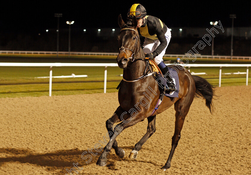 Hidden-Steps-0001 
 HIDDEN STEPS (Oisin Murphy) Wolverhampton 15 Jan 2018 - Pic Steven Cargill / Racingfotos.com