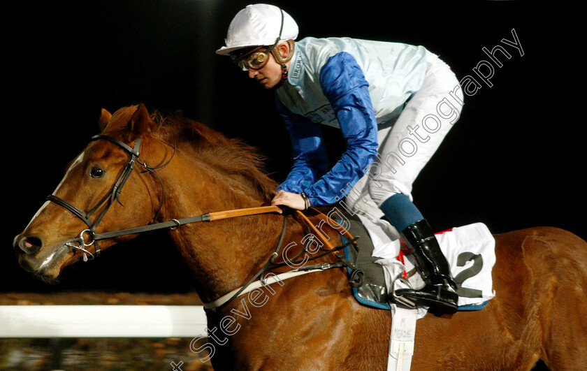 Ebury-0006 
 EBURY (Rob Hornby) wins The Matchbook Casino Novice Stakes Div2
Kempton 6 Mar 2019 - Pic Steven Cargill / Racingfotos.com