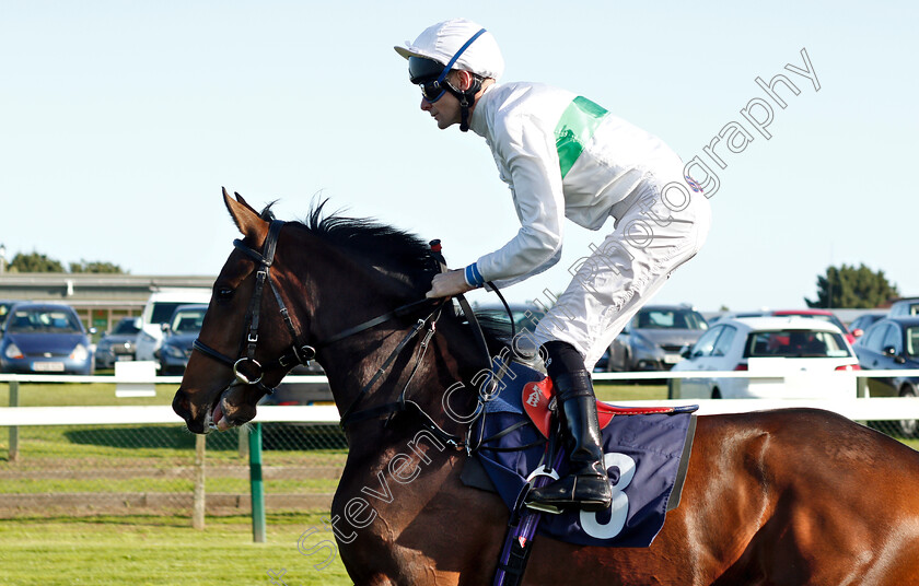 Oussel-Falls-0001 
 OUSSEL FALLS (Robert Havlin)
Yarmouth 23 Oct 2018 - Pic Steven Cargill / Racingfotos.com