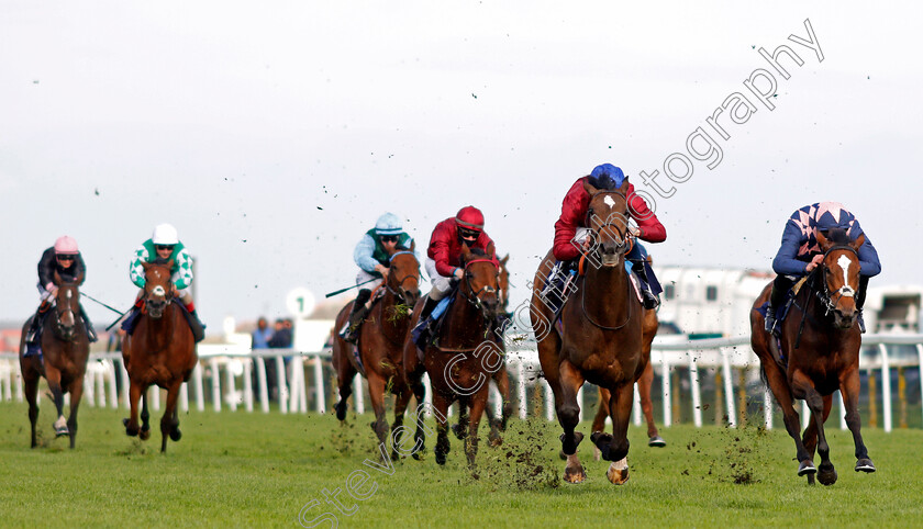 Random-Harvest-0003 
 RANDOM HARVEST (2nd right, William Buick) beats DANCING TO WIN (right) in The British Stallion Studs EBF Fillies Novice Stakes
Yarmouth 20 Oct 2020 - Pic Steven Cargill / Racingfotos.com