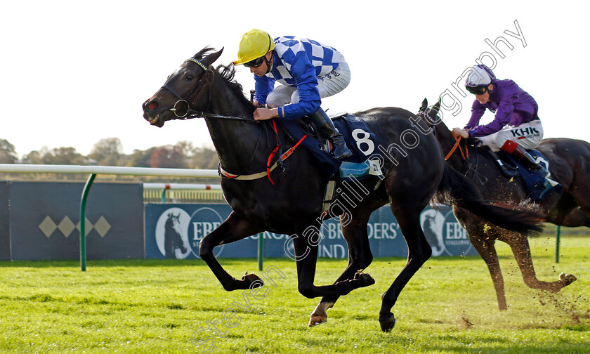 Matilda-Picotte-0004 
 MATILDA PICOTTE (Declan McDonagh) wins The Irish Stallion Farms EBF Bosra Sham Fillies Stakes
Newmarket 28 Oct 2022 - Pic Steven Cargill / Racingfotos.com