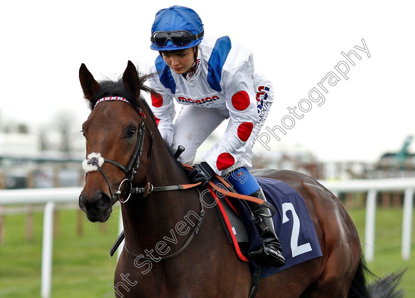 King-Of-The-Ring-0002 
 KING OF THE RING (Megan Nicholls) 
Bath 17 Oct 2018 - Pic Steven Cargill / Racingfotos.com