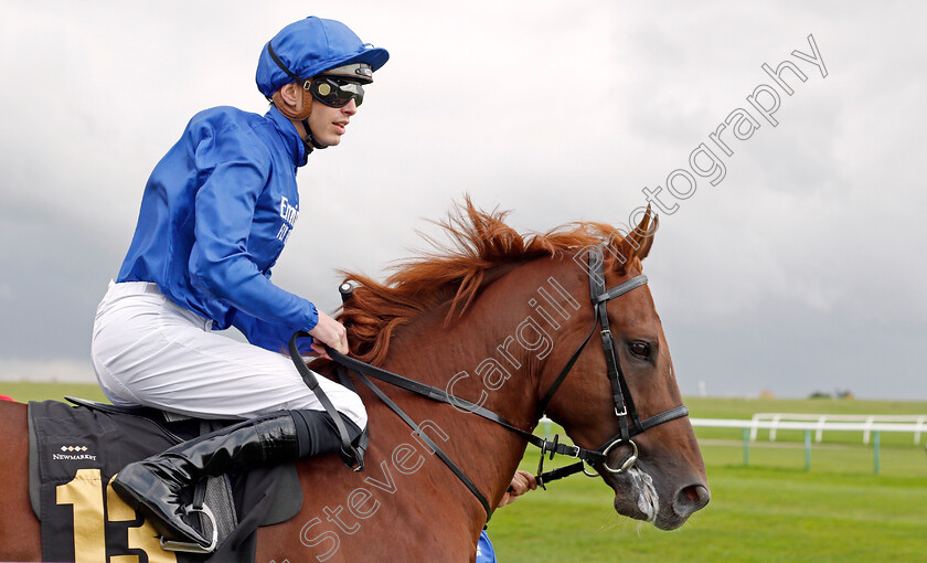 Yantarni 
 YANTARNI (James Doyle)
Newmarket 29 Oct 2021 - Pic Steven Cargill / Racingfotos.com