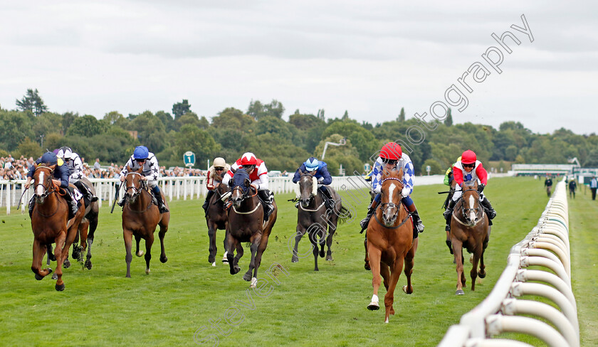 Designer-0001 
 DESIGNER (David Egan) wins The Celebrate ITM's 200th Ire Voucher Winner Handicap
York 17 Aug 2022 - Pic Steven Cargill / Racingfotos.com