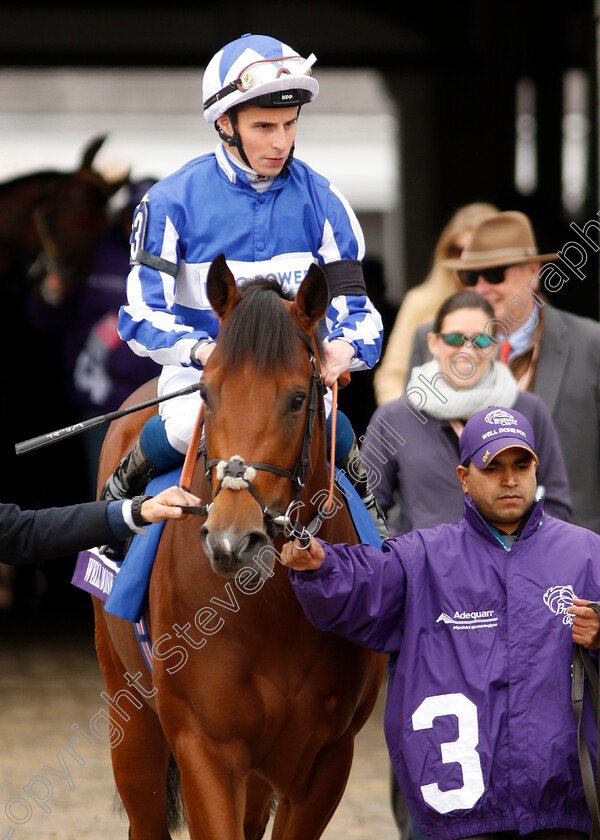 Well-Done-Fox-0001 
 WELL DONE FOX (William Buick)
Churchill Downs 2 Nov 2018 - Pic Steven Cargill / Racingfotos.com