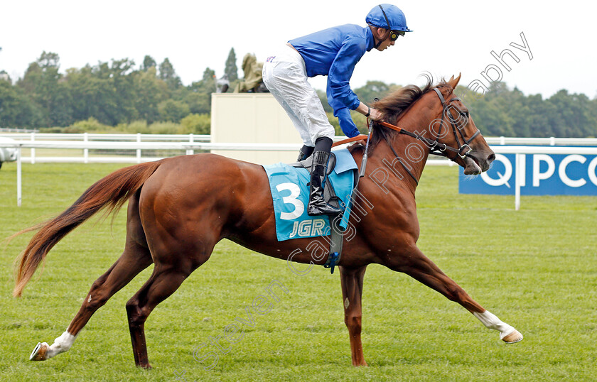 Dubai-Paradise-0001 
 DUBAI PARADISE (James Doyle)
Ascot 26 Jul 2019 - Pic Steven Cargill / Racingfotos.com