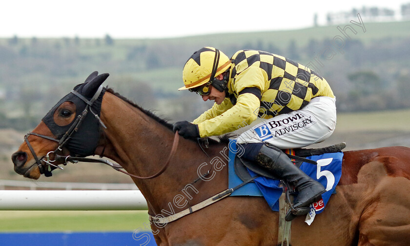 Salvator-Mundi-0007 
 SALVATOR MUNDI (Paul Townend) wins the Sky Bet Moscow Flyer Novice Hurdle
Punchestown 12 Jan 2025 - Pic Steven Cargill / Racingfotos.com