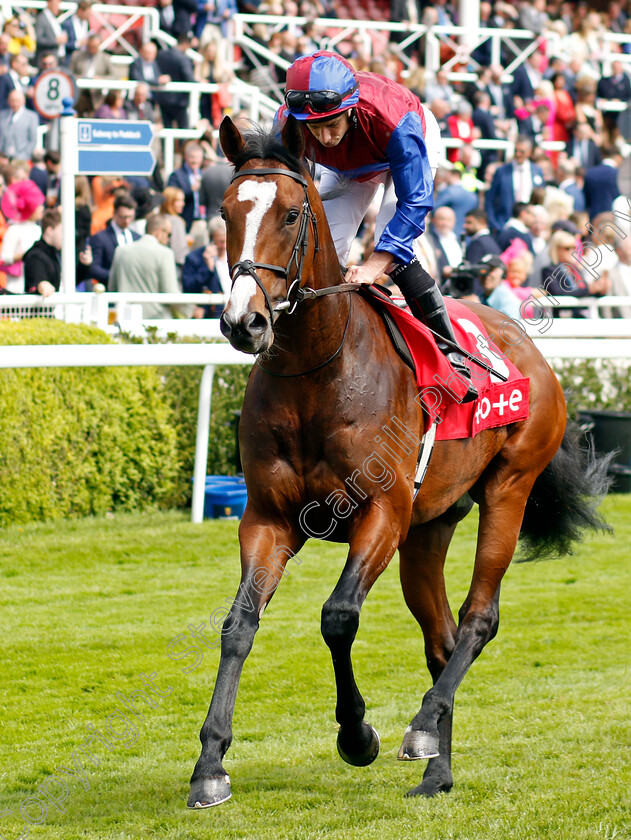 Changingoftheguard-0001 
 CHANGINGOFTHEGUARD (Ryan Moore)
Chester 11 May 2023 - Pic Steven Cargill / Racingfotos.com