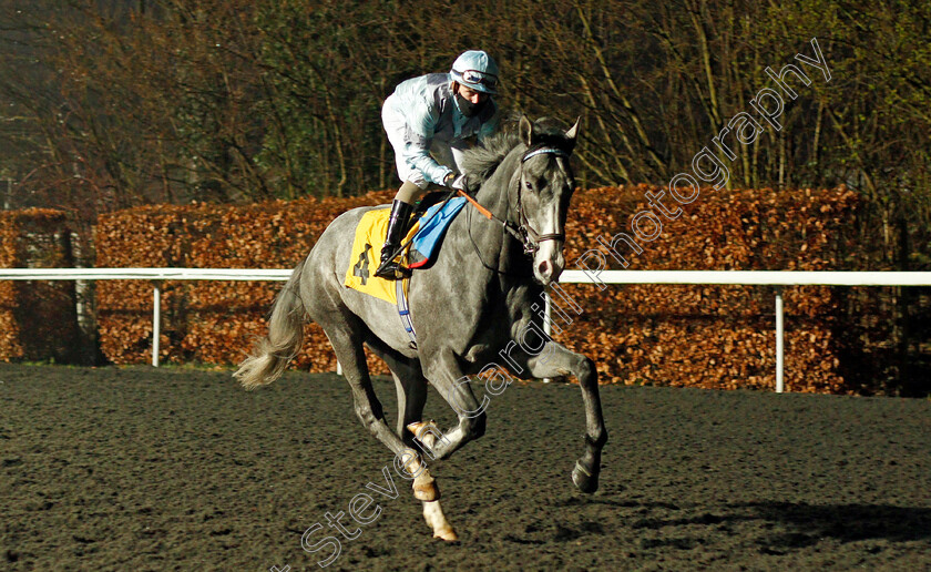 Mighty-Power-0001 
 MIGHTY POWER (Kieran O'Neill)
Kempton 3 Mar 2021 - Pic Steven Cargill / Racingfotos.com