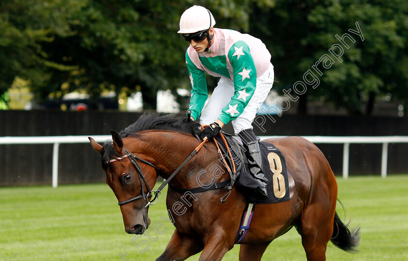 Raft-Up-0001 
 RAFT UP (George Wood)
Newmarket 28 Jul 2023 - Pic Steven Cargill / Racingfotos.com