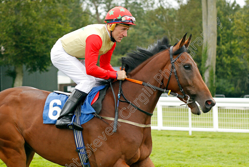 Wonder-Elmossman-0001 
 WONDER ELMOSSMAN (John Egan)
Salisbury 12 Aug 2021 - Pic Steven Cargill / Racingfotos.com