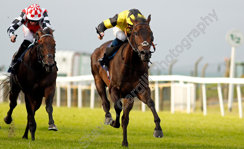 Desert-Gulf-0004 
 DESERT GULF (right, Callum Shepherd) beats EMPEROR SPIRIT (left) in The Quinnbet Acca Bonus Handicap
Yarmouth 14 Jul 2021 - Pic Steven Cargill / Racingfotos.com