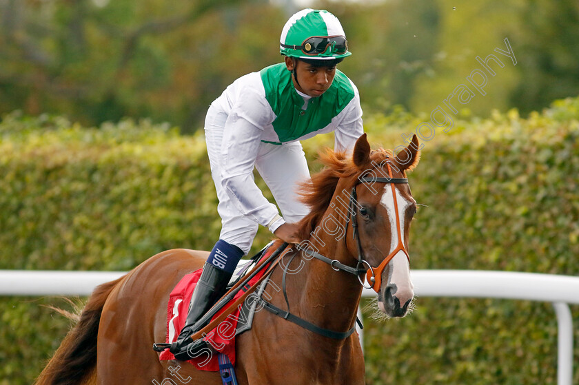 Qandil-0002 
 QANDIL (Tyrese Cameron)
Kempton 8 Sep 2023 - Pic Steven Cargill / Racingfotos.com