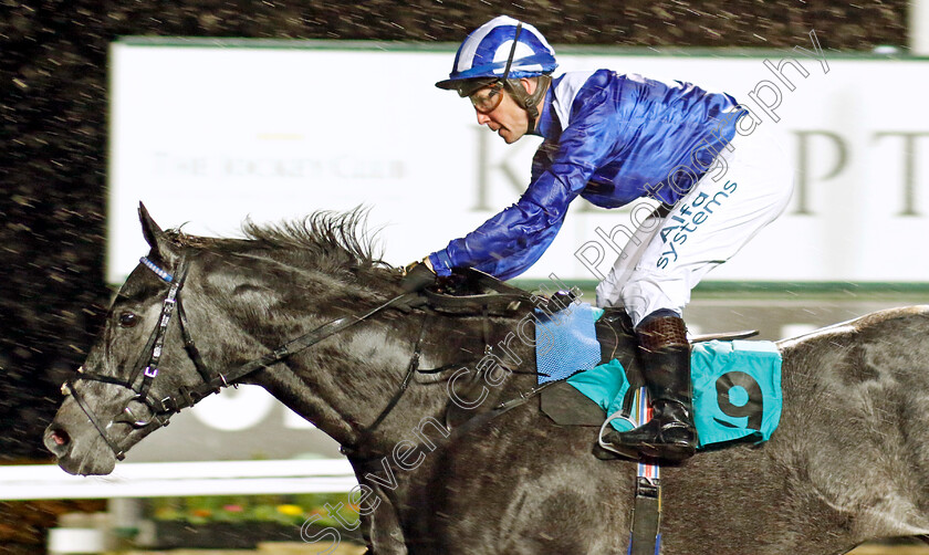 Mostabshir-0001 
 MOSTABSHIR (Jim Crowley) wins The Unibet British Stallion Studs EBF Novice Stakes Div2
Kempton 16 Nov 2022 - Pic Steven Cargill / Racingfotos.com