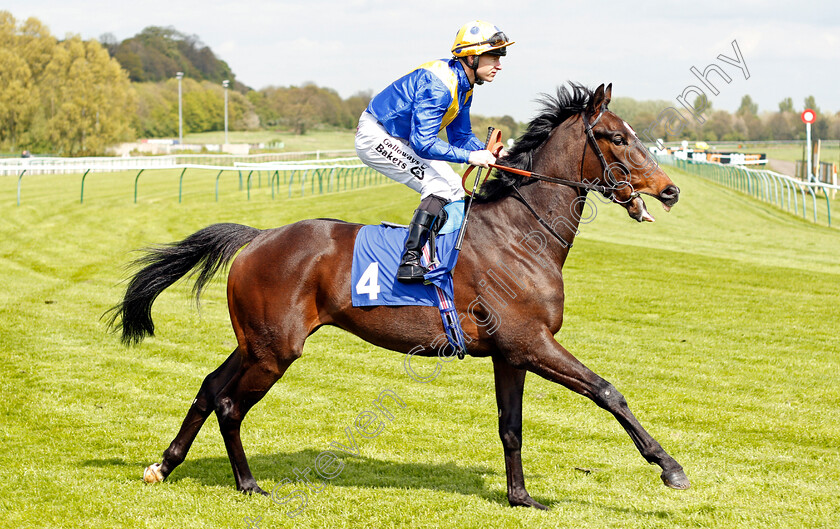 Eledeed-0002 
 ELEDEED (Richard Kingscote) Nottingham 1 May 2018 - Pic Steven Cargill / Racingfotos.com