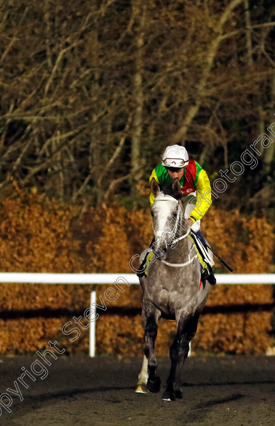 Champagne-Prince-0008 
 CHAMPAGNE PRINCE (William Buick) winner of The Unibet Wild Flower Stakes
Kempton 11 Dec 2024 - Pic Steven Cargill / Racingfotos.com