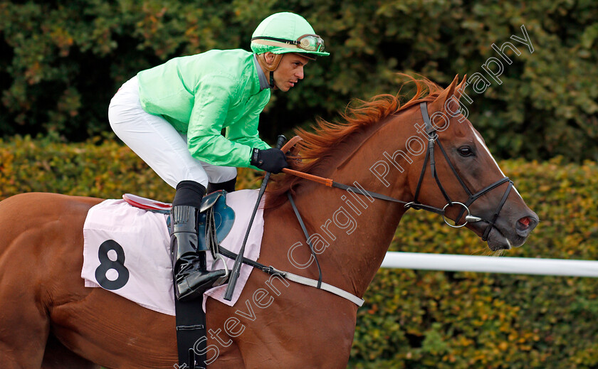 Tuscany-0001 
 TUSCANY (Raul Da Silva) winner of The Racing UK Profits Returned To Racing Handicap Kempton 4 Oct 2017 - Pic Steven Cargill / Racingfotos.com