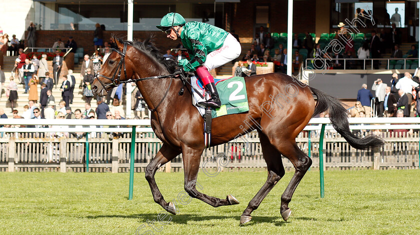 Beatboxer-0001 
 BEATBOXER (Frankie Dettori)
Newmarket 29 Sep 2018 - Pic Steven Cargill / Racingfotos.com