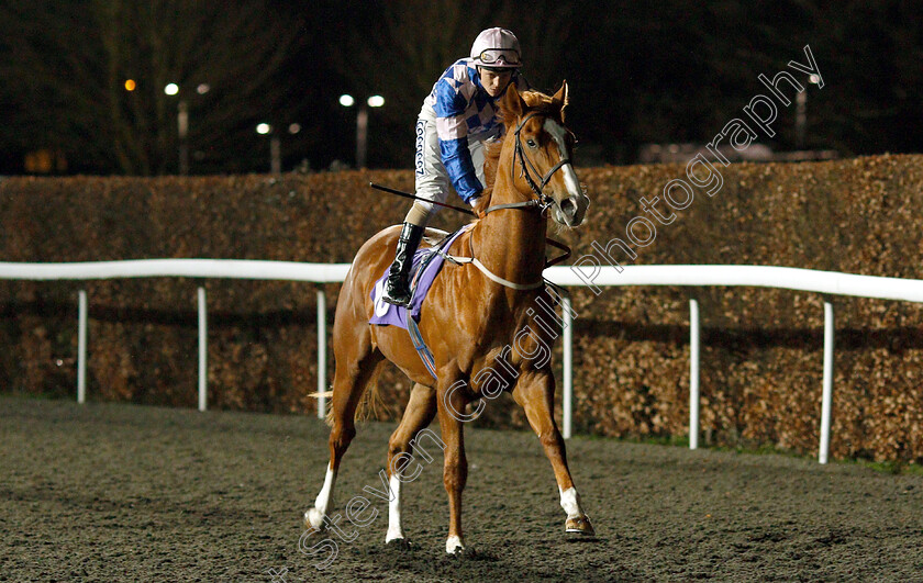 Target-Zone-0001 
 TARGET ZONE (David Probert)
Kempton 6 Mar 2019 - Pic Steven Cargill / Racingfotos.com