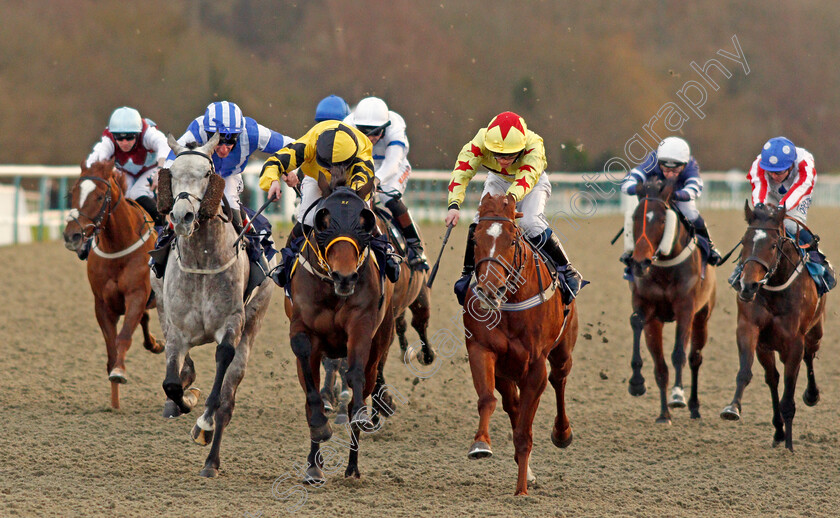 Double-Legend-0002 
 DOUBLE LEGEND (centre, Rhiain Ingram) beats LIBBRETTA (right) and ARABESCATO (left) in The Play 4 To Score At Betway Handicap
Lingfield 29 Jan 2021 - Pic Steven Cargill / Racingfotos.com