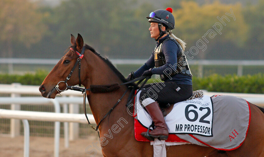 Mr-Professor-0005 
 MR PROFESSOR exercising for trainer Alice Haynes
Meydan, Dubai, 3 Feb 2022 - Pic Steven Cargill / Racingfotos.com