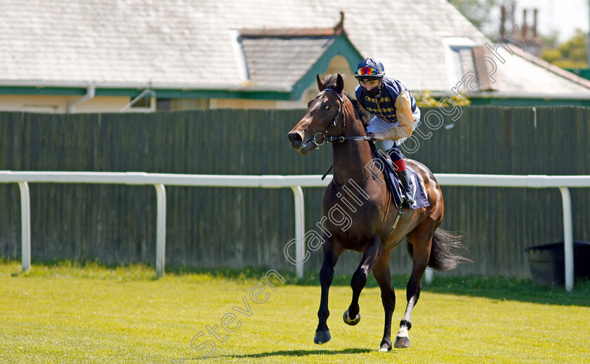 Manettino-0001 
 MANETTINO (David Egan) winner of The British Stallion Studs EBF Maiden Stakes
Yarmouth 9 Jun 2021 - Pic Steven Cargill / Racingfotos.com