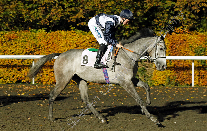 Midnight-Gun-0001 
 MIDNIGHT GUN (Billy Loughnane)
Kempton 15 Nov 2023 - Pic Steven Cargill / Racingfotos.com