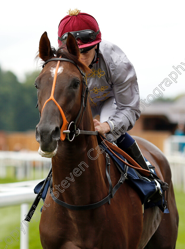 Watan-0003 
 WATAN (Oisin Murphy)
York 22 Aug 2018 - Pic Steven Cargill / Racingfotos.com