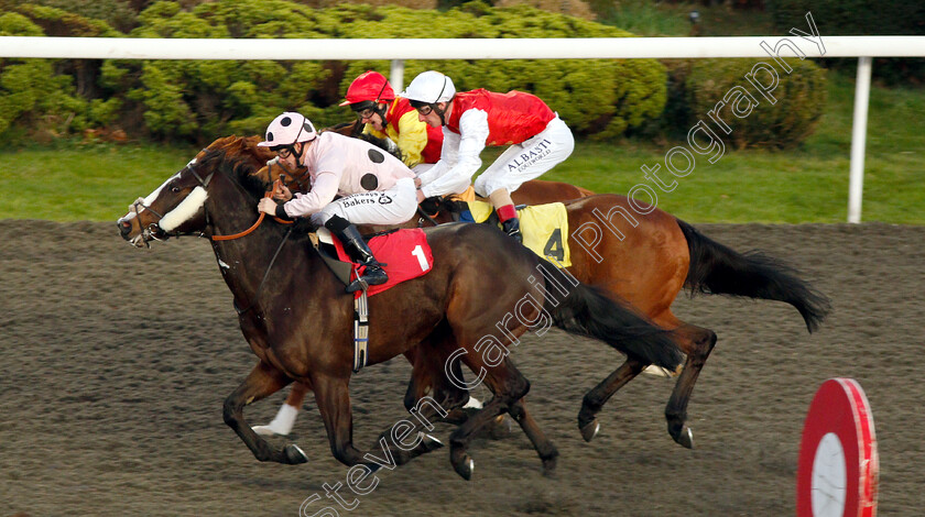 Chiefofchiefs-0005 
 CHIEFOFCHIEFS (Richard Kingscote) wins The 32Red.com Handicap
Kempton 4 Jan 2019 - Pic Steven Cargill / Racingfotos.com