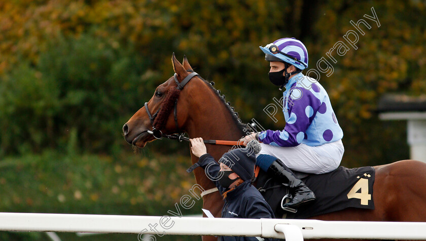 Helvetian-0001 
 HELVETIAN (William Buick)
Nottingham 28 Oct 2020 - Pic Steven Cargill / Racingfotos.com