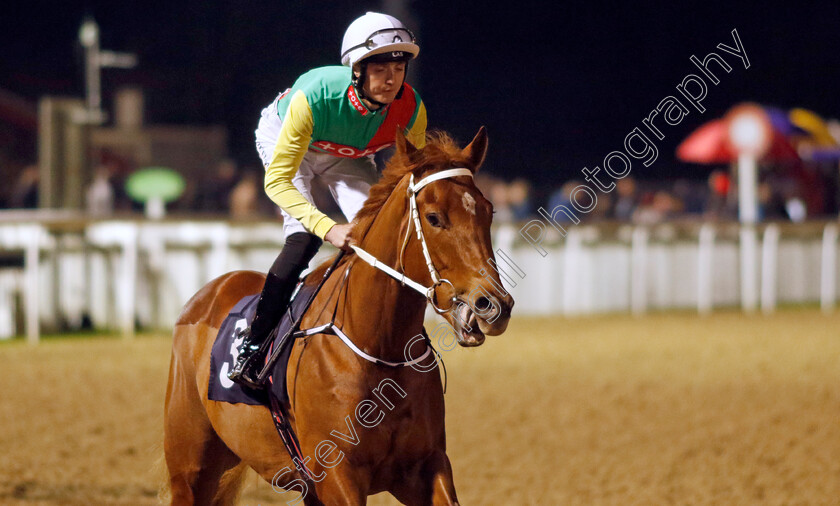 Kon-Tiki-0007 
 KON TIKI (Jonny Peate) winner of The Betmgm Irish EBF Fillies Novice Stakes Div2
Wolverhampton 20 Dec 2024 - Pic Steven Cargill / Racingfotos.com