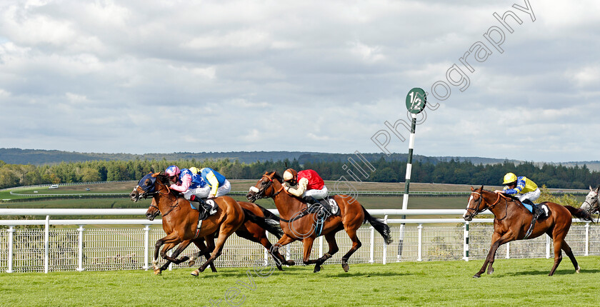 Seinesational-0002 
 SEINESATIONAL (Oisin Murphy) beats C'EST LA MOUR (centre) in The Ladbrokes Get Your Daily Odds Boost Handicap
Goodwood 29 Aug 2020 - Pic Steven Cargill / Racingfotos.com