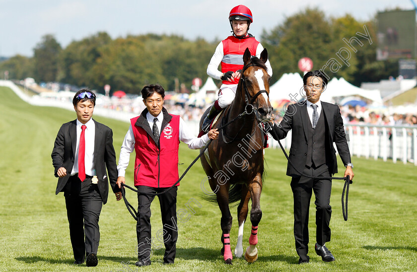 Deirdre-0017 
 DEIRDRE (Oisin Murphy) after The Qatar Nassau Stakes
Goodwood 1 Aug 2019 - Pic Steven Cargill / Racingfotos.com